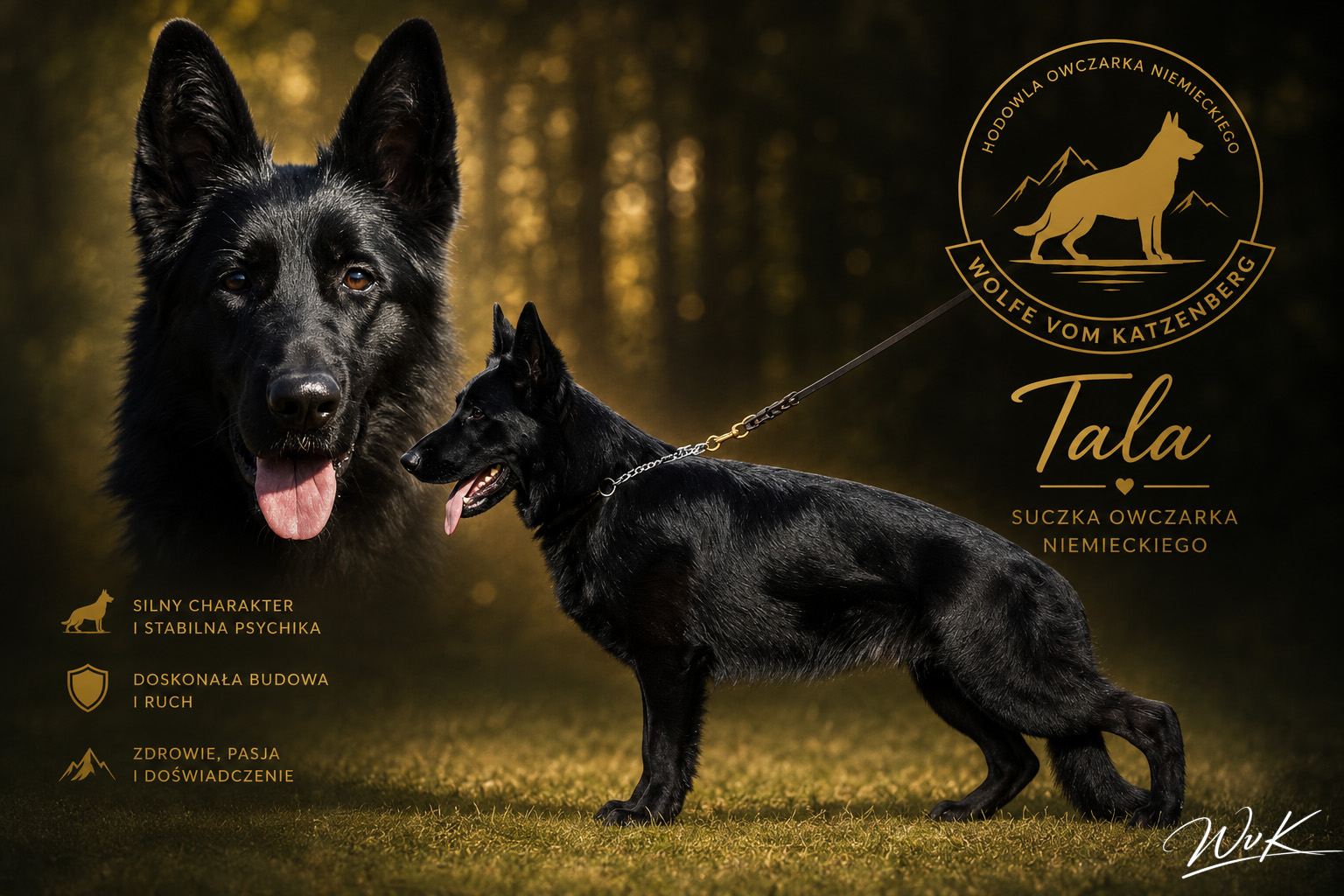Tala