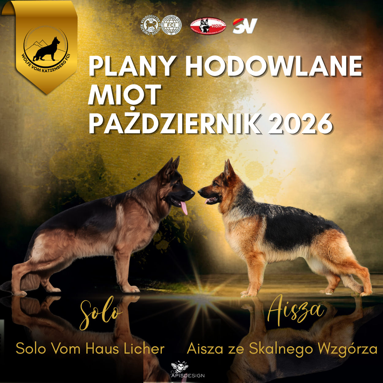 Planowany Miot — I połowa września 2026